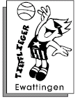 Tiefflieger Logo